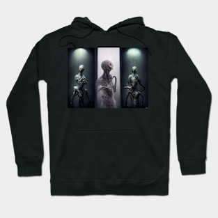 Grey Aliens, evolved and eternal Hoodie